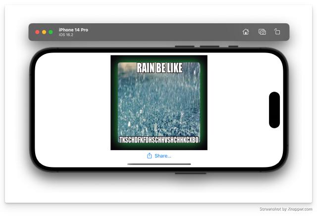 A screenshot of ShareLink View on iPhone in Landscape view