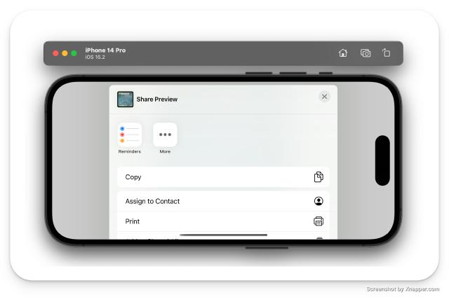 A screenshot of ShareLink in action on iPhone in Landspace view
