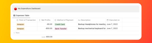 A Screenshot of Expense View in Notion Budget Template